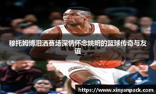 bsports体育