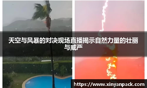 必一体育